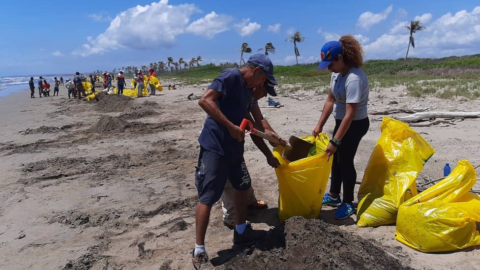 Labor de voluntariado en las playas afectadas.
