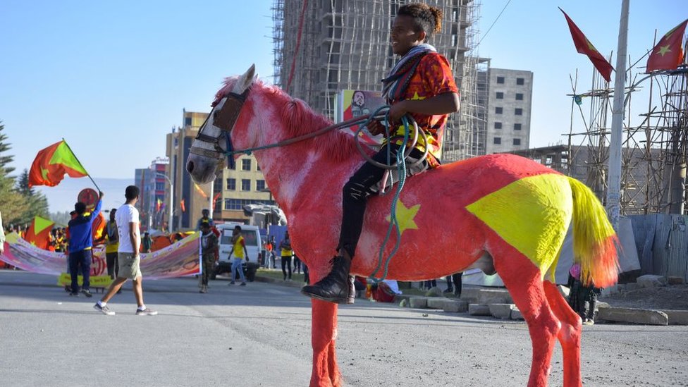 Un Habitant De La Région De Mekelle Monte Un Cheval Peint Aux Couleurs Du Drapeau Régional Du Tigré Alors Qu'Il Assiste Aux Célébrations Marquant Le 45E Anniversaire Du Lancement De La «Lutte Armée Des Peuples Du Tigré», Le 19 Février 2020, À Mekelle