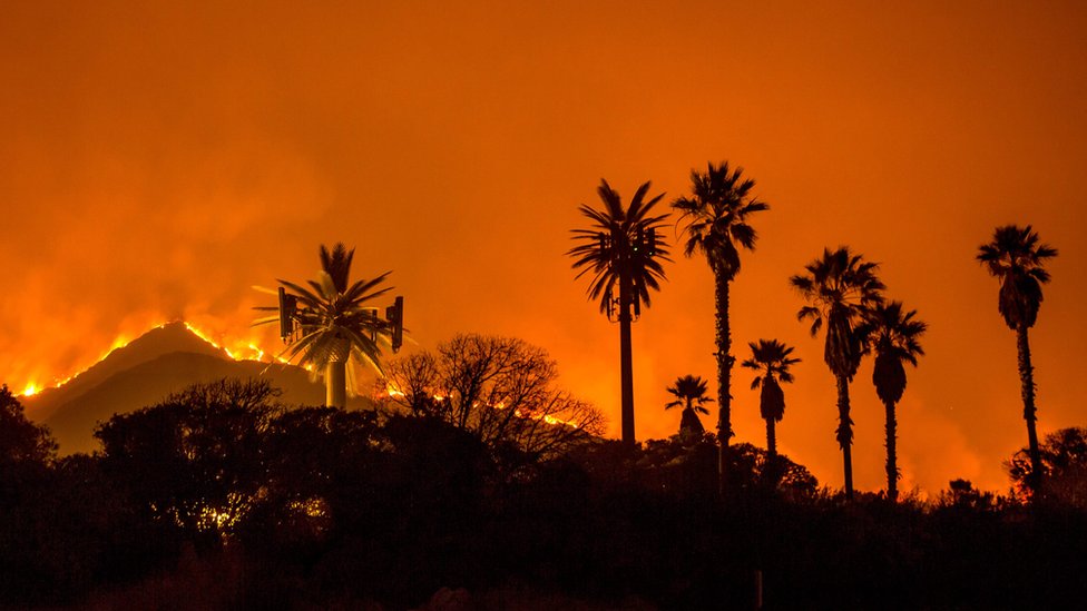 Огонь Томаса горит на склоне холма недалеко от Санта-Паулы, Калифорния, 5 декабря 2017 г.