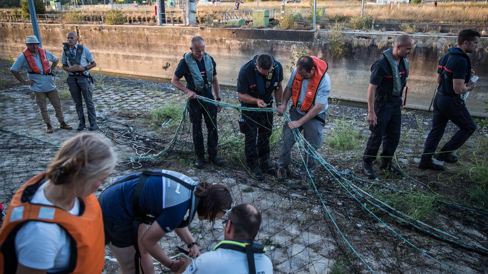 A team of rescuers prepared an operation to move a lost Beluga whale locked in the Seine river in Saint Pierre la Garenne, Normandy Region, France, 09 August 2022. The strayed whale was first spotted on 02 August and a rescue operation will be conducted to move the beluga to a salt water basin before an eventual return to the marine environment.