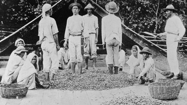 Рабочие, обрабатывающие какао