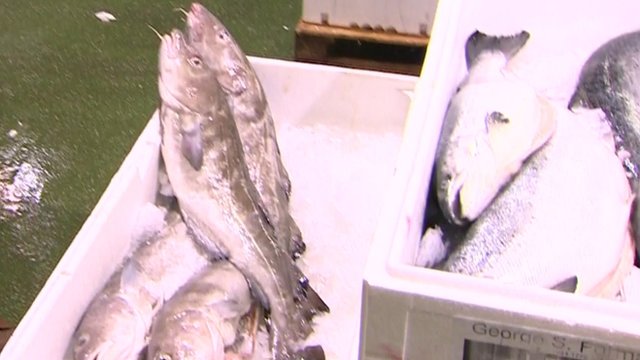 Cod at Billingsgate Fish Market