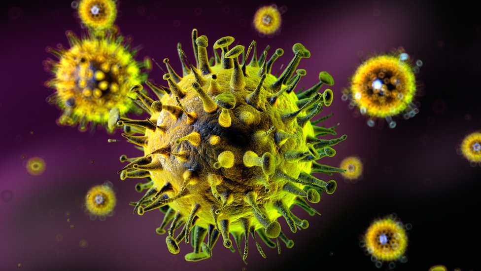 Вирус гриппа