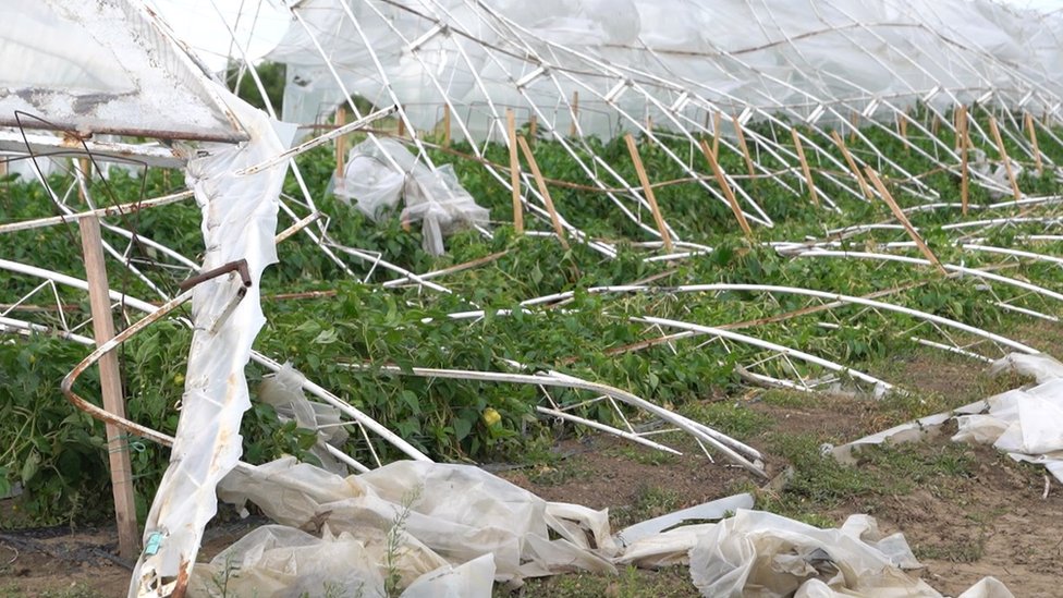 Superćelijska oluja: Kolika je šteta od nevremena u Srbiji i ko će da je plati 5 Posledice oluje