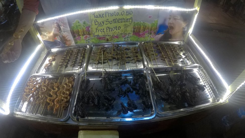 Sebastián Oliveros. Sebastián Oliveros.