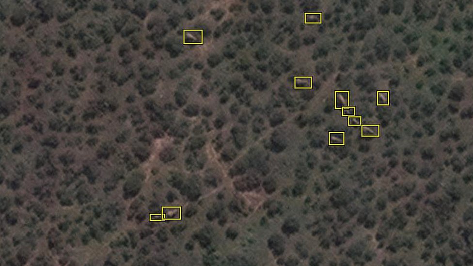 Bir algoritma, uydu görüntülerinde filleri ormanlardaki gibi karmaşık arka planlardan ayırarak sayıyor