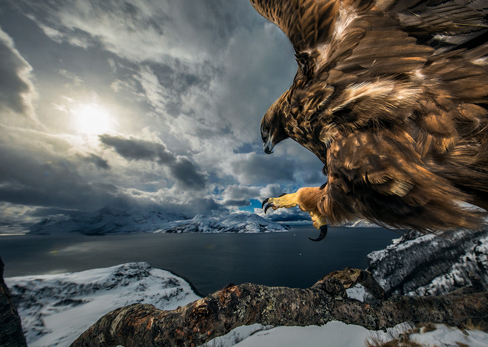 "Tierra del águila" de Audun Rikardsen