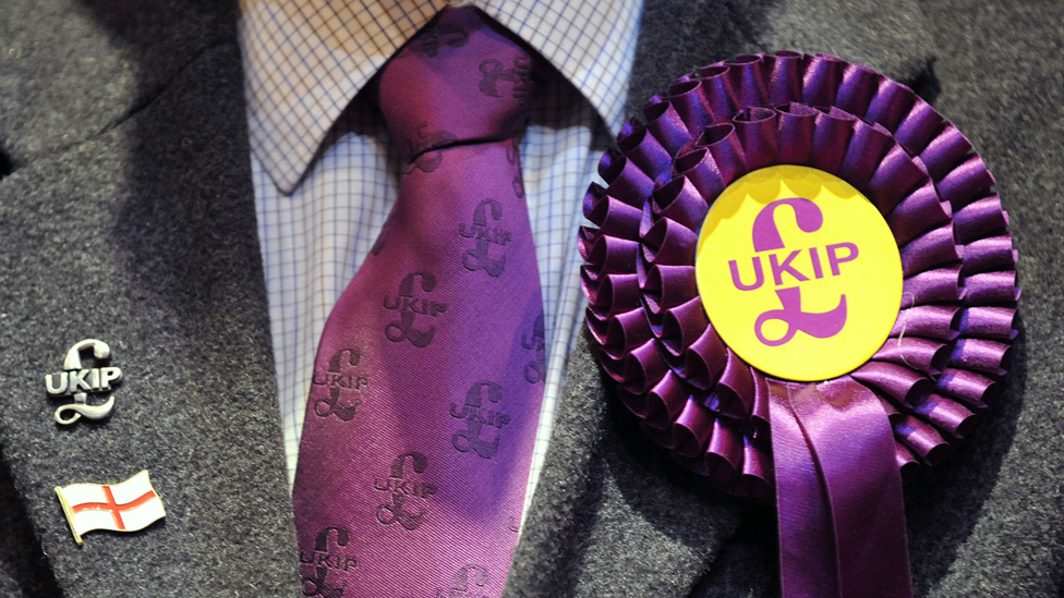 UKIP галстук и розетка