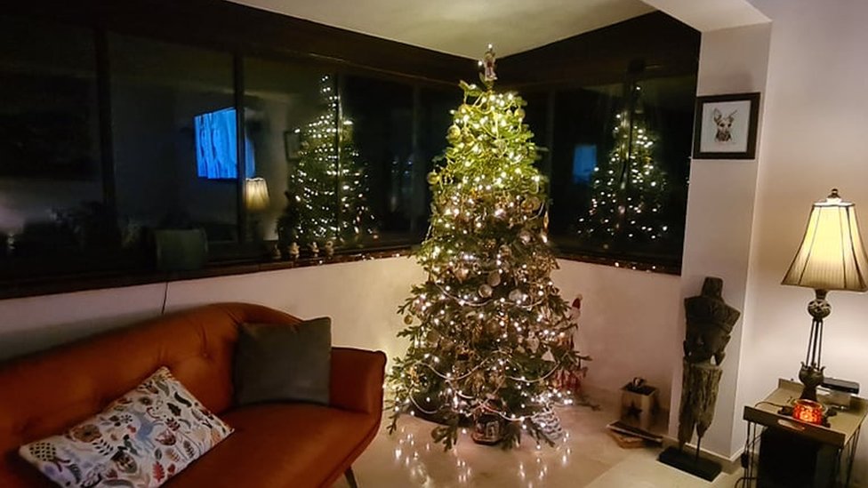 Рождественская елка Стефани Джолли