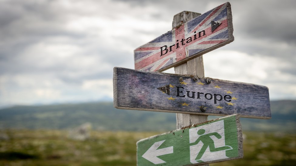 Великобритания, Европа и текст выхода с флагом на деревянном указателе на открытом воздухе на природе, аварийный знак, символизирующий Брексит