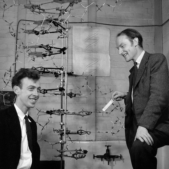 James Watson y Francis Crick con un modelo de ADN