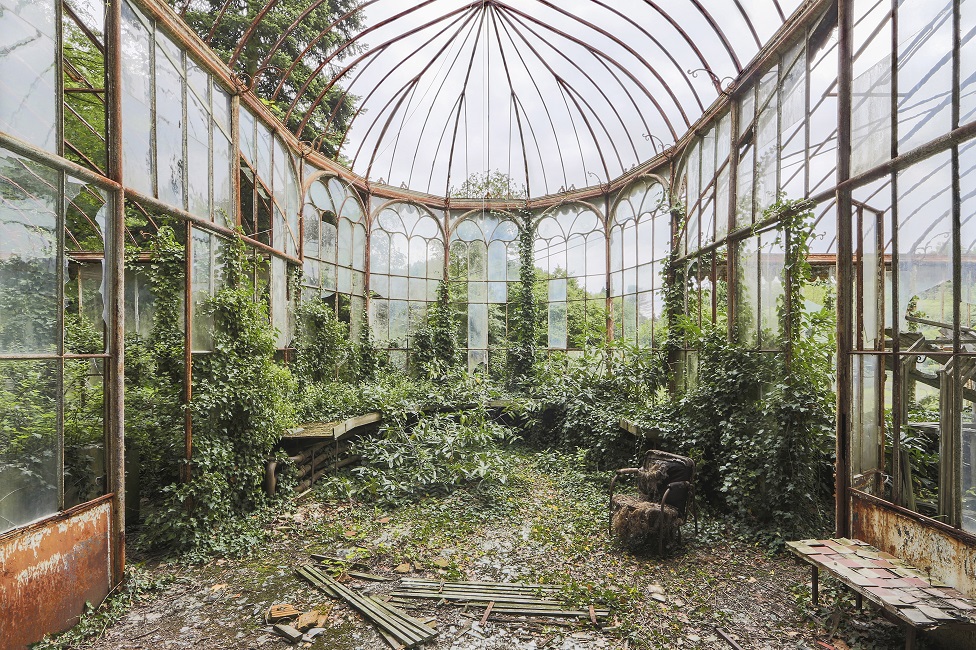 A derelict and overgrown large greenhouse