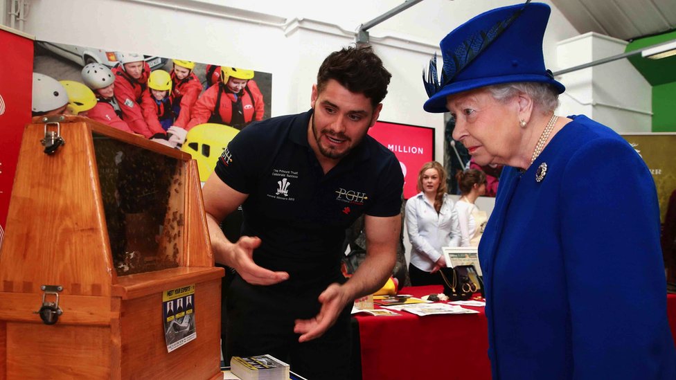 Queen Elizabeth II looking at bees in a hive at a Prince's Trust event