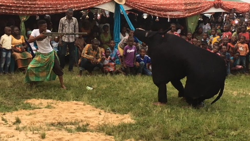 Odi Ogori Ba Uge Festival: A Unique Celebration of Victory and Cultural Heritage ... || Nnewi City