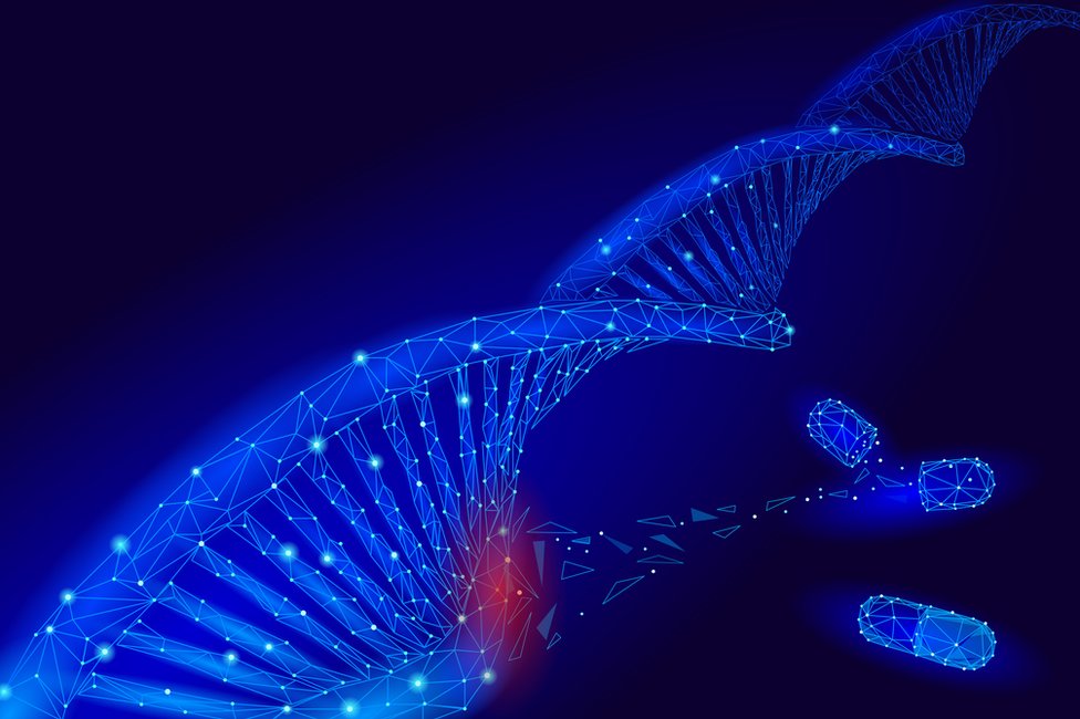 La terapia génica consistió en este caso en la inserción en cada paciente de una copia simple del gen responsable de la coagulación de la sangre. Terapia génica.