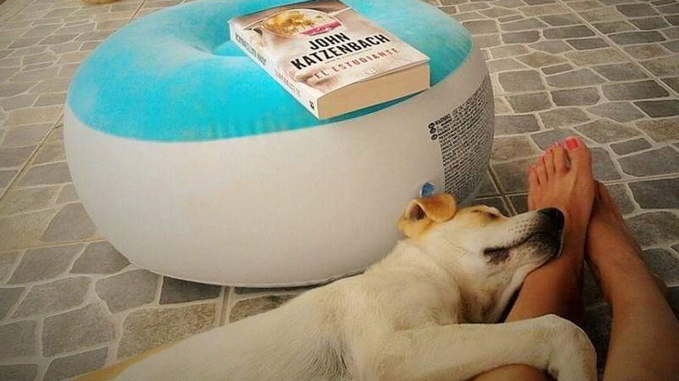 Aquiles y libro.