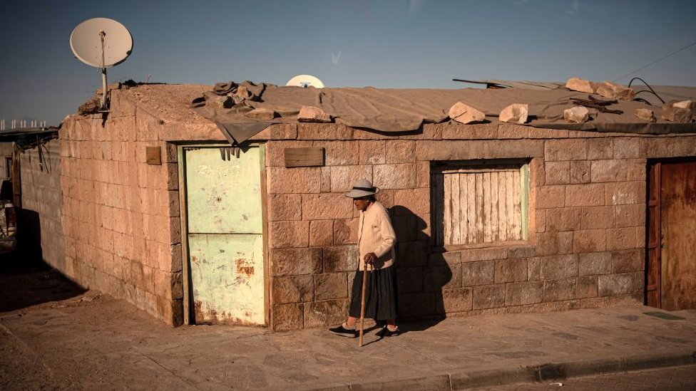 Habitantes del desierto de Atacama