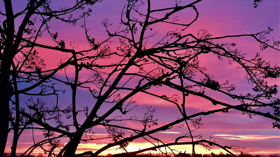 Purple Skies Seen Across England With Sunrises c News