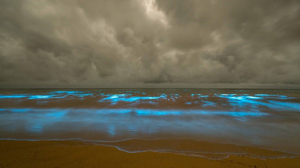 La bioluminiscencia en las aguas de la bahía Preservation de Tasmania