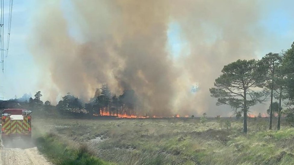 Лесной пожар в Уэрхэме