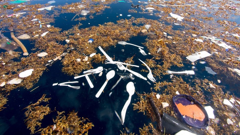Cubiertos plástico y otros materiales conformaban el "mar de basura" cercano a la isla de Roatán. Foto cortesía de Caroline Power. Cubiertos plástico y otros materiales conformaban el "mar de basura" cercano a la isla de Roatán.