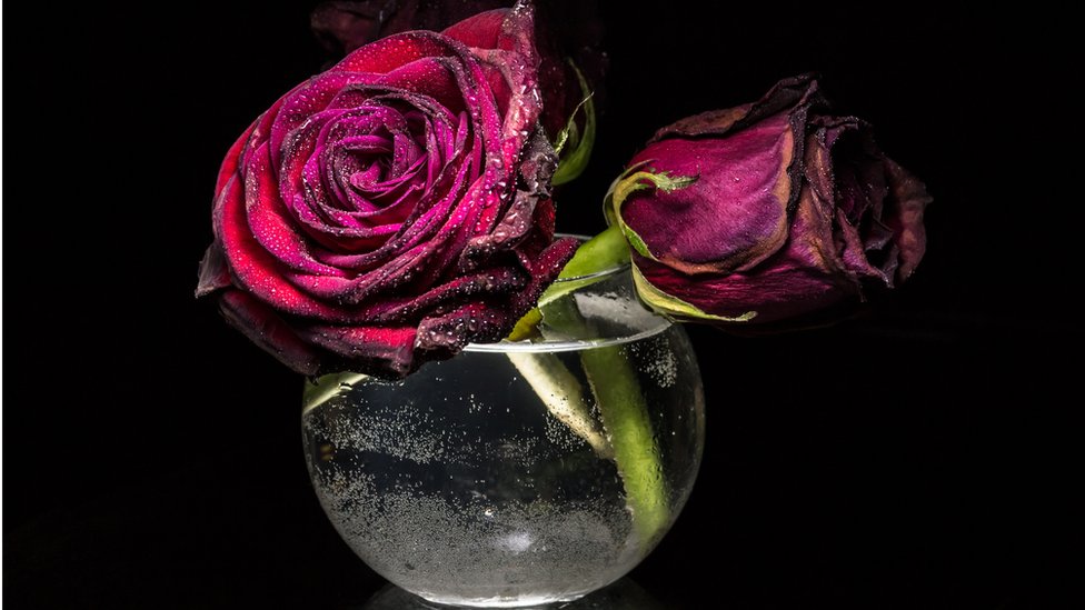 Rosas en florero de vidrio con agua.