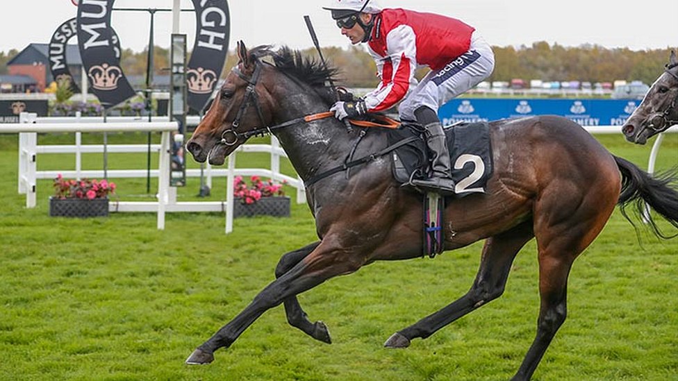 Carrutherstown Racing Stable Very Relieved To Return To Action Bbc News