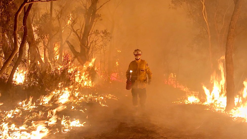Пожарный Дэниел Нокс стоит среди пламени и пожара в Новом Южном Уэльсе