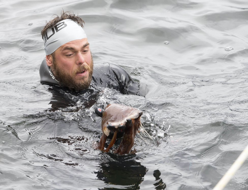 longest-staged-sea-swim-record-broken-by-ross-edgley-bbc-news