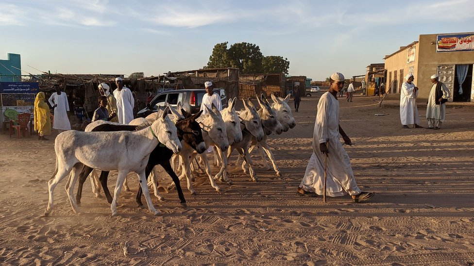 Кочевой пастух с ослами в Эль-Фашере, северный Дарфур
