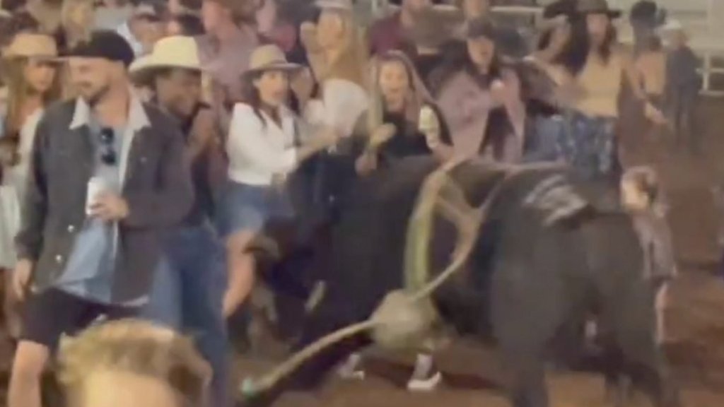 Watch: Escaped bull charges into dancing crowd leaving two injured