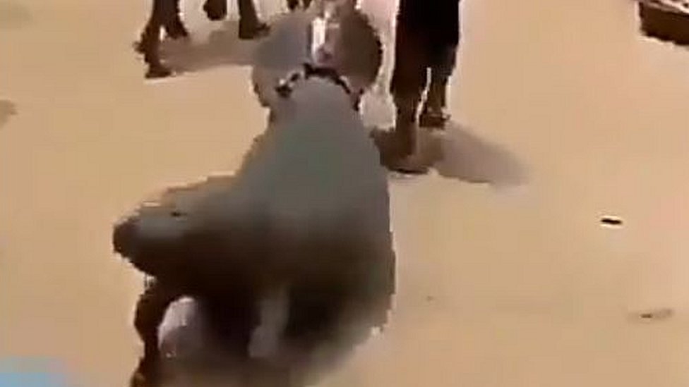 A screengrab from the video shows the manatee being dragged down a dusty road