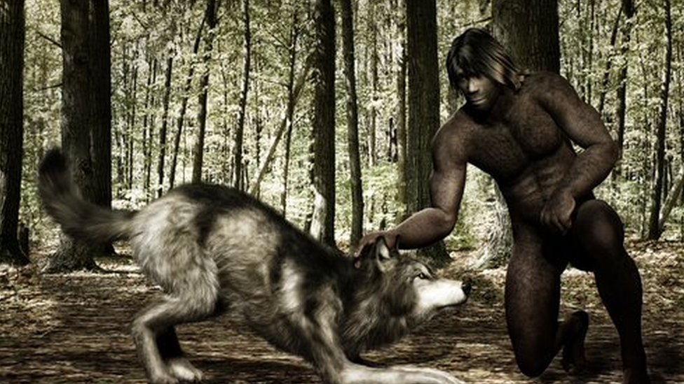 An illustration shows a ancient human befriending a wolf