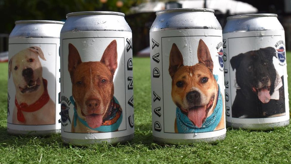 Latas de cerveza con fotos de perros