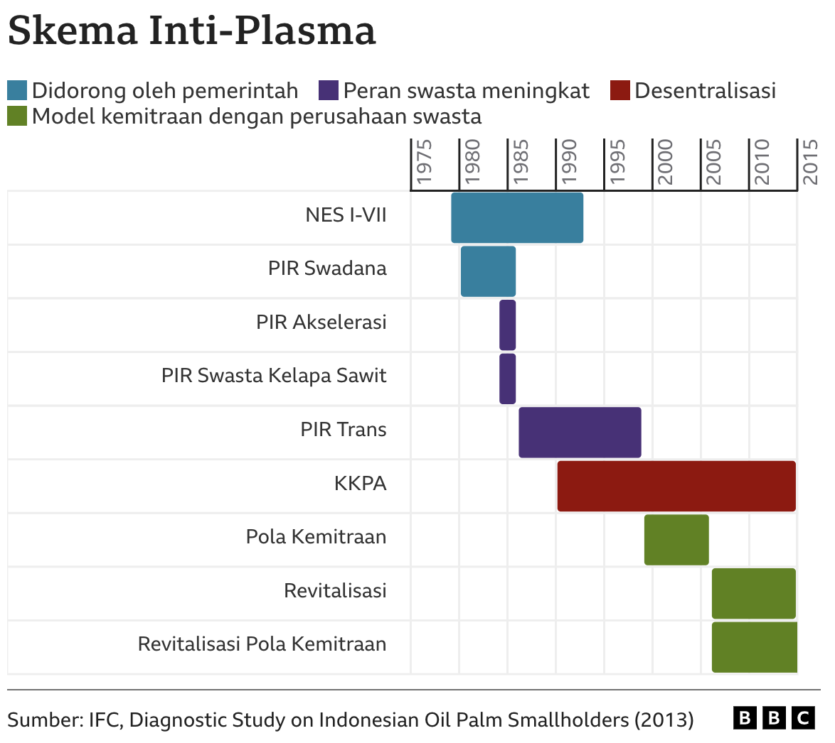 Kelapa Sawit: Apa Itu ‘plasma’ Dan Mengapa Perusahaan-perusahaan Sawit ...