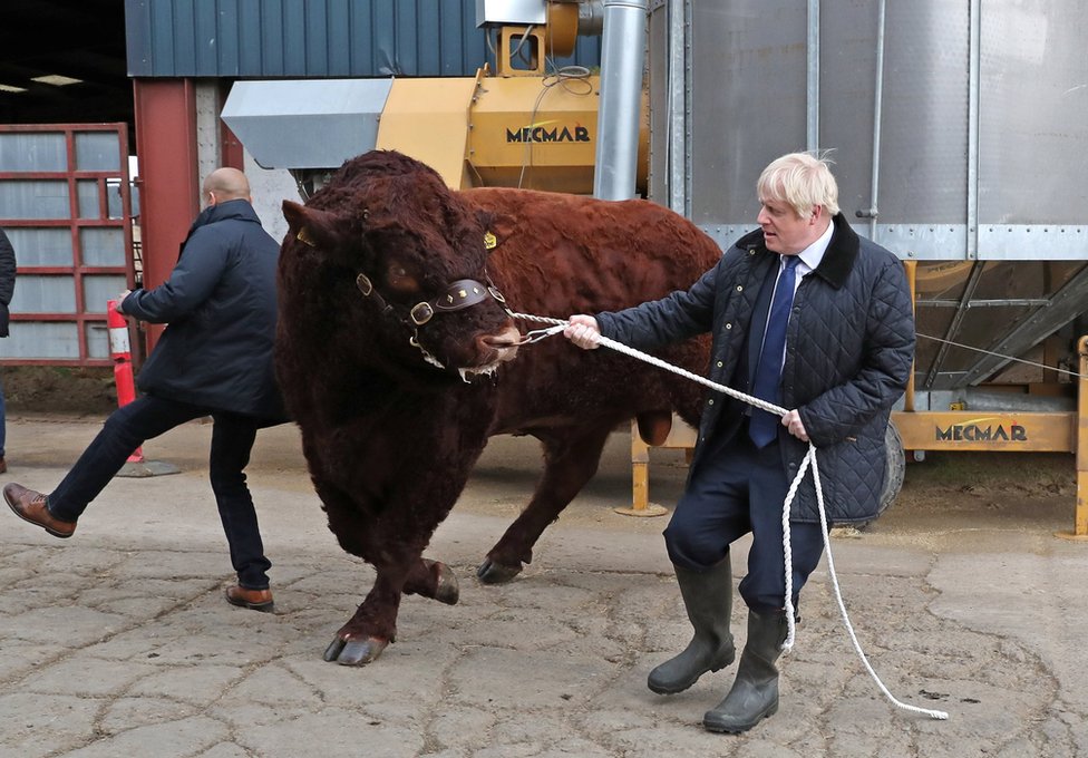 Boris Johnson wrestles with a bull