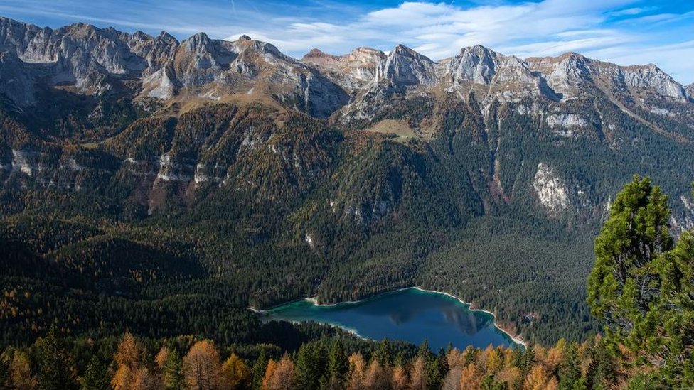 Prirodni park Adamelo Brenta u Trentinu, u Italiji, koji je dom za sve veću populaciju mrkih medveda