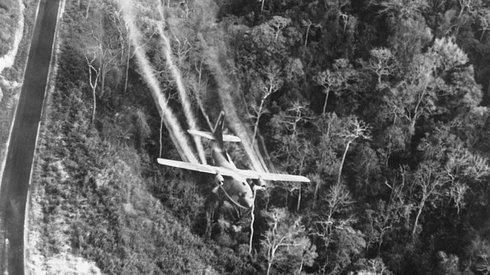 Un avión rocía agente naranja sobre un bosque en el norte de Vietnam en 1966.