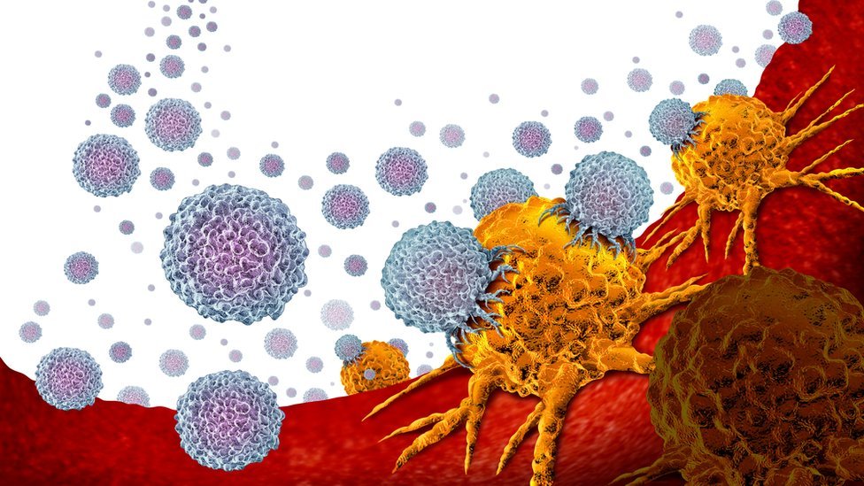 La inmunoterapia usa nuestro propio sistema inmune para reconocer y atacar células cancerígenas.