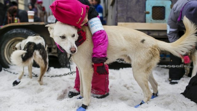 A young child hugs a dog before the ceremonial start of the Iditarod Trail Sled Dog Race that begins