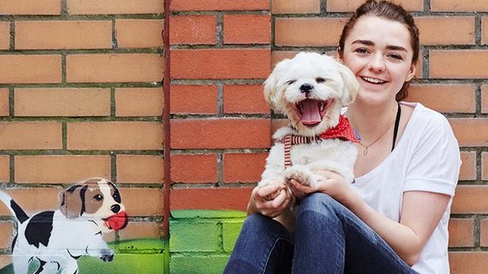 Coronavirus: Maisie Williams donates £50,000 to animal charity after  fundraising halted