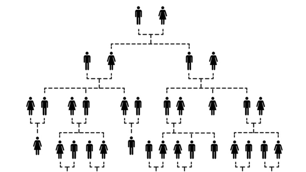 Un árbol genealógico genérico