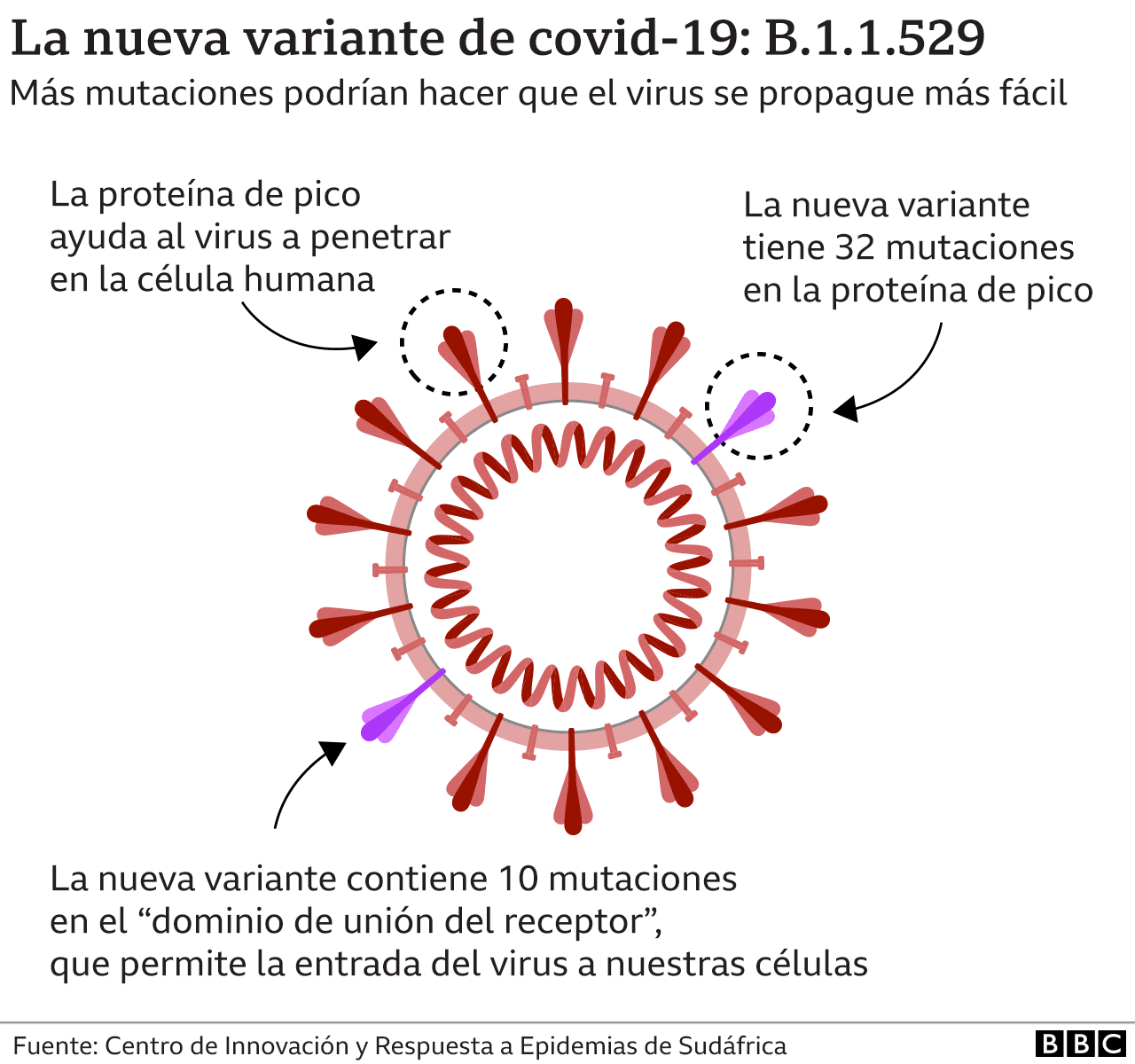 Gráfico de la mutación.