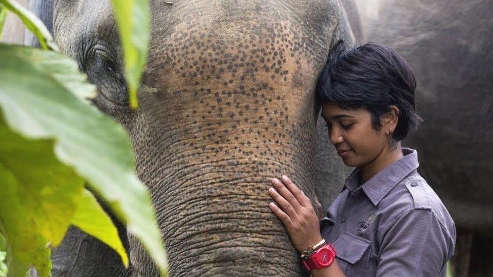 Palm oil: One woman's fight to save 'the last place on Earth'