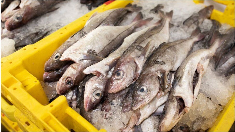 Balıkçılık hakları ekonomik büyüklüğü görece fazla olmasa da en zorlu müzakere konularından biriydi