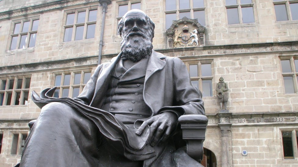 Charles Darwin, naturista inglés y autor de "El origen de las especies" y "El origen del hombre".