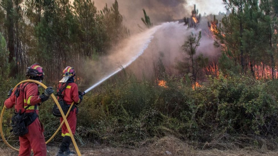 Vatrogasci šmrkovima gase požar u Portugaliji