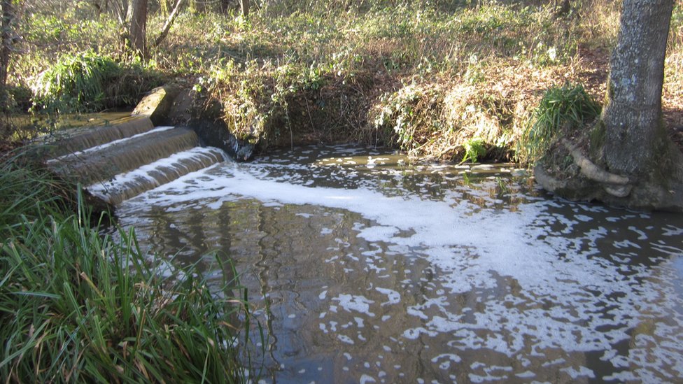 Загрязнение Plumpton Mill Stream