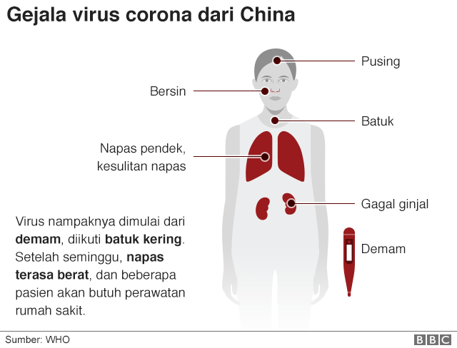 coronavirus, virus corona