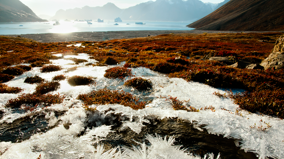 Tierra congelada en Groenlandia